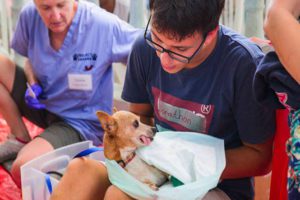 Animal Rescue Program