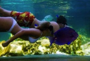 Aldeas de Paz Marine Conservation and diving internship