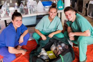 Animal Rescue Program