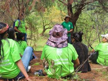 Umweltkonfliktlösung