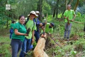 malinalco forest conservation