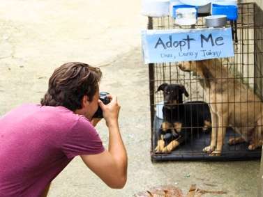 Social Media Volunteering